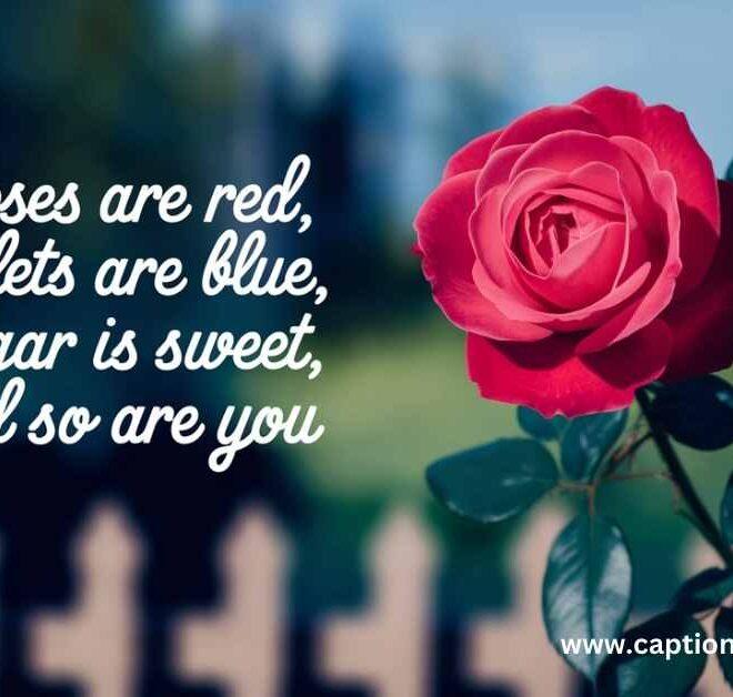 360+ Best Rose Captions For Instagram 2025- Captions Pro