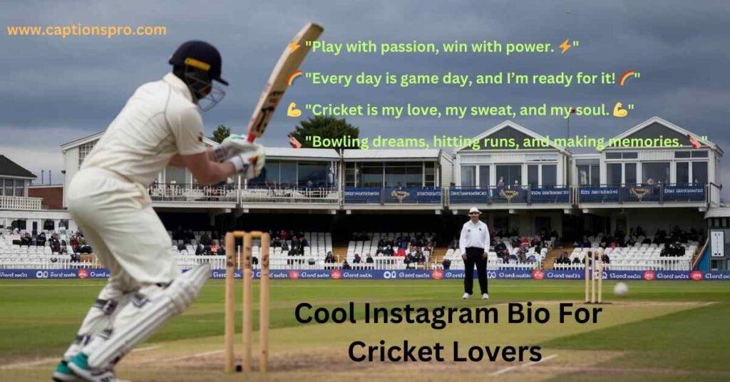 Cool Instagram Bio For Cricket Lovers