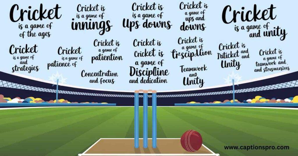 _Cricket bio for instagram in english