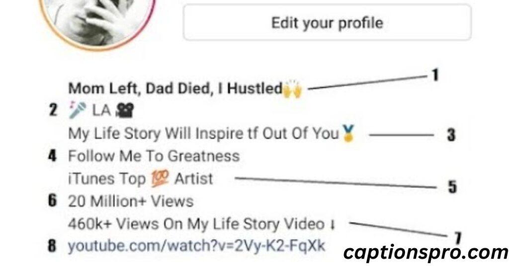 Instagram bio motivation attitude