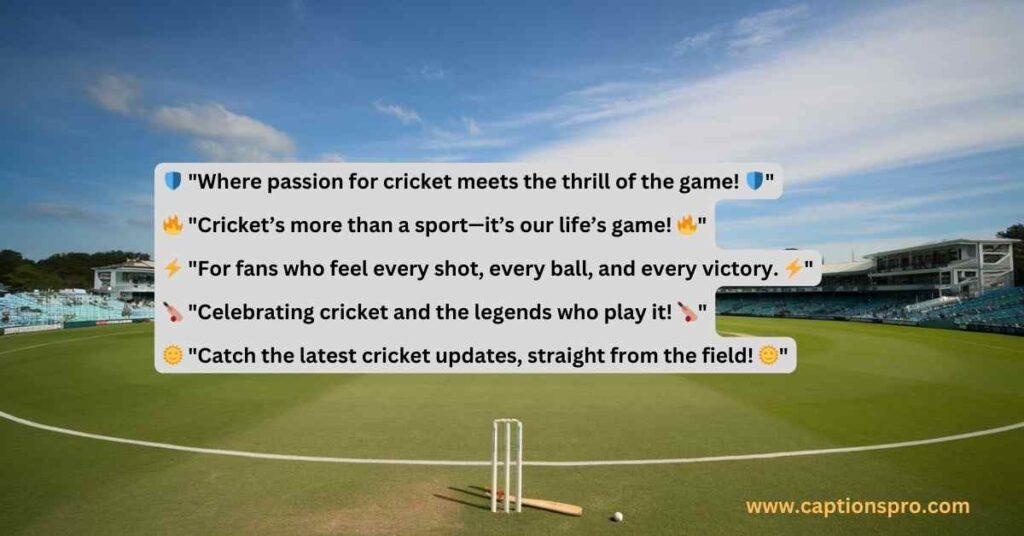 best bio for cricket page