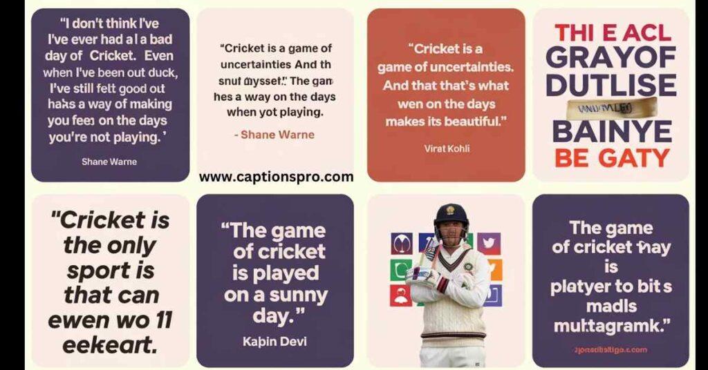 instagram bio for cricket lovers