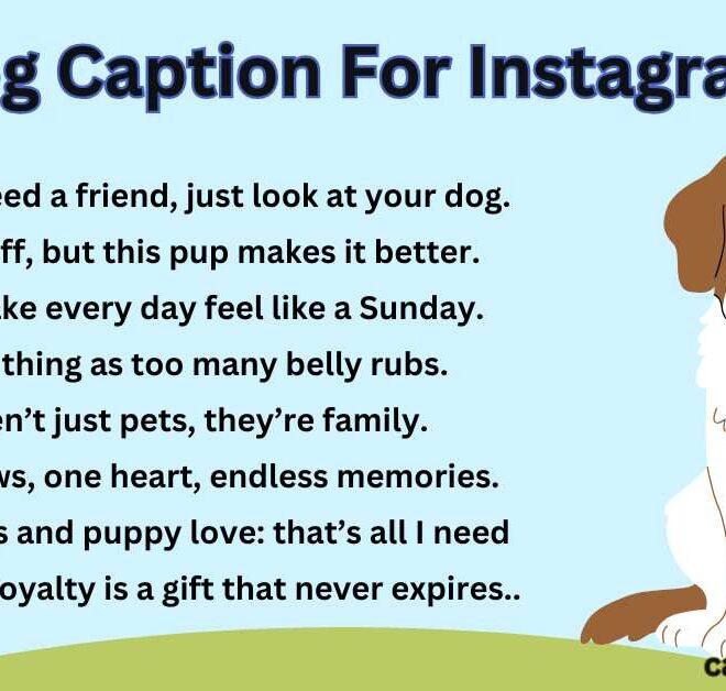 250+ Best Dog Caption For Instagram 2025 – Captions Pro