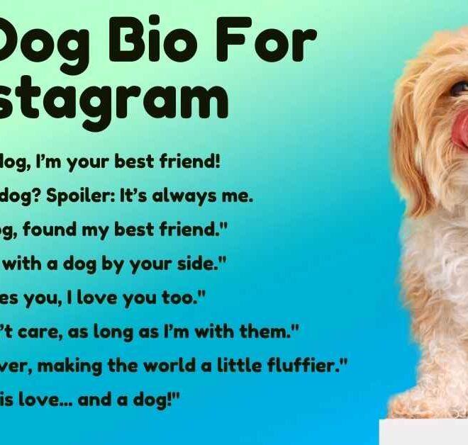 300+ Best Dog Bio For Instagram In 2025 – Captions Pro