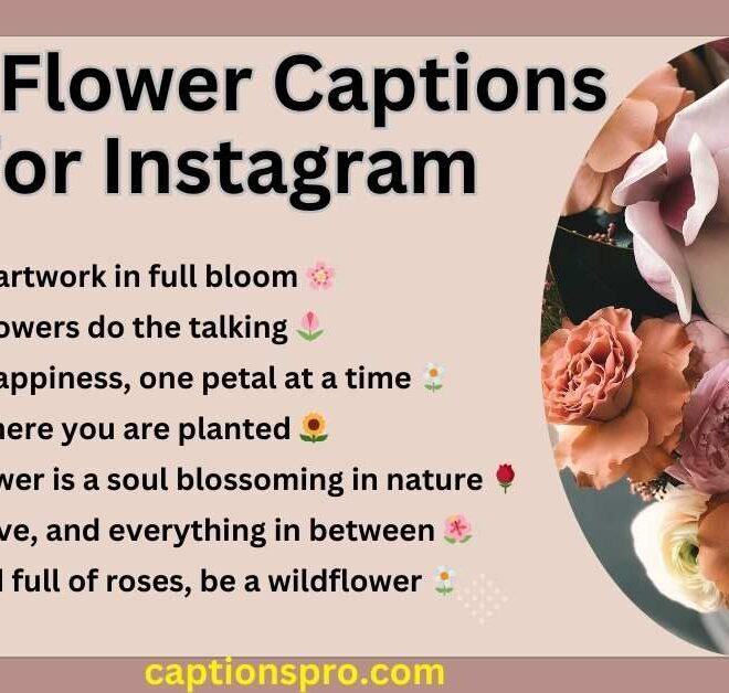 360+ Best Flower Captions For Instagram 2025 – Captions Pro