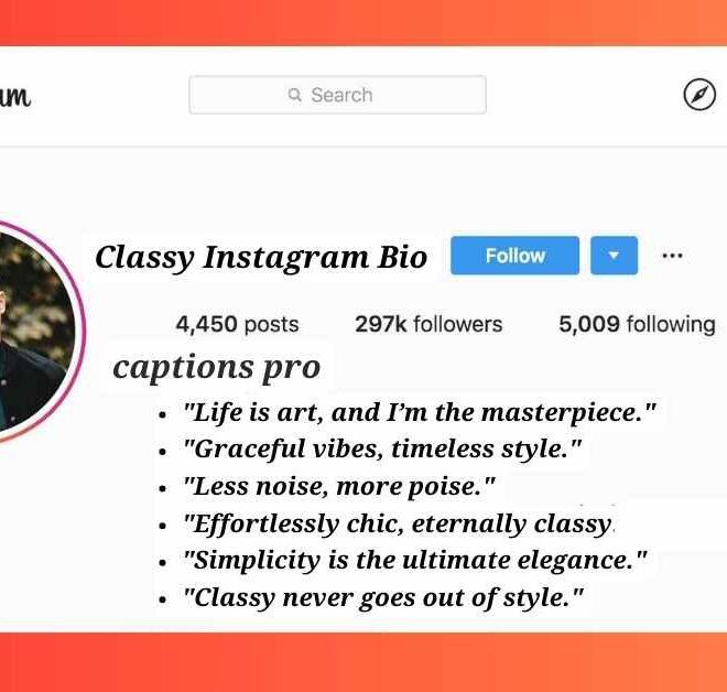 450+ Best Classy Instagram Bio Ideas For Stylish Profiles in 2025