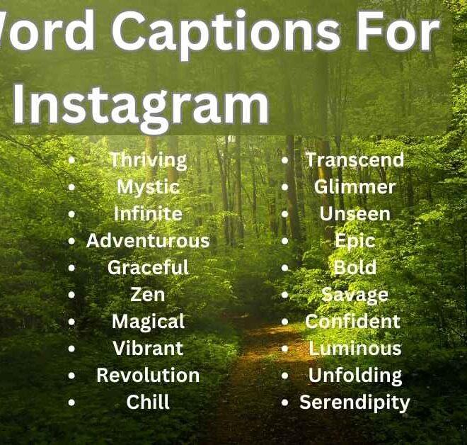 650+ Best One Word Captions For Instagram 2025 – Captions Pro