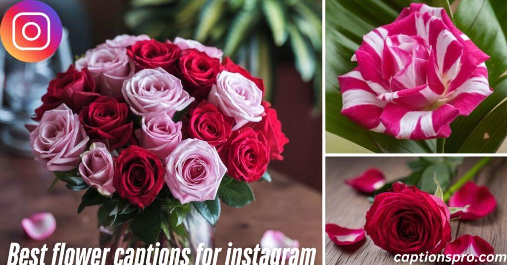 Best flower captions for instagram