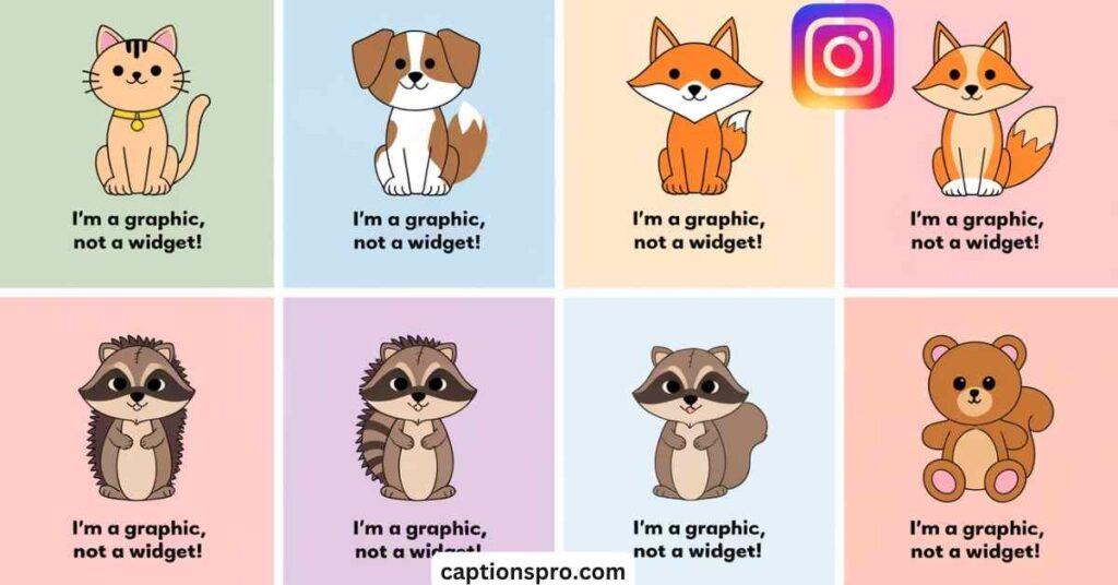 Cute Graphic Design Instagram Bios