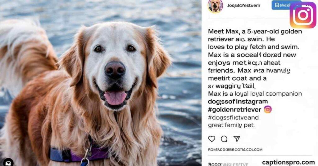 Dog bio for instagram in english