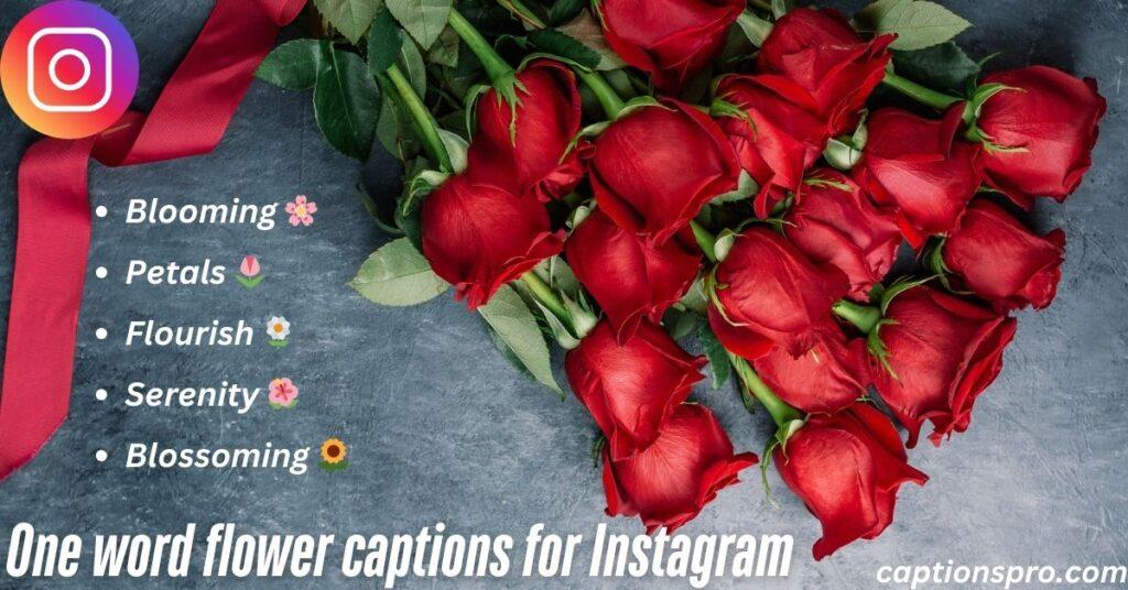 One word flower captions for Instagram