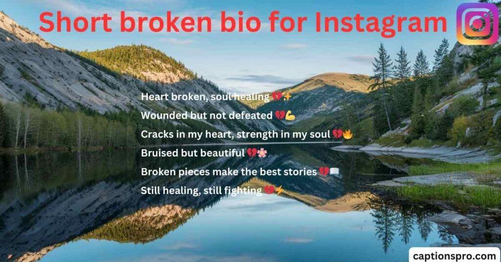 Short broken bio for Instagram