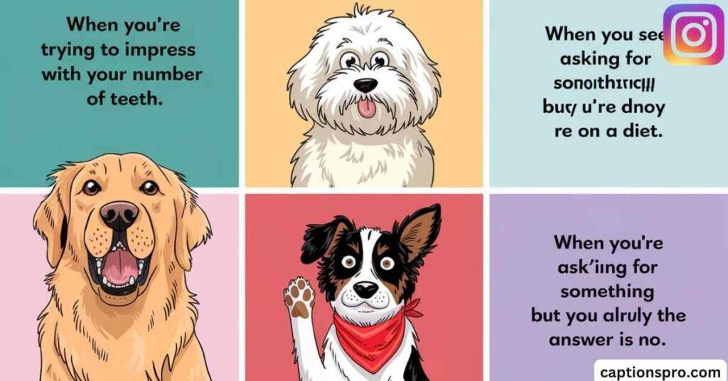 Short captions for dog lovers