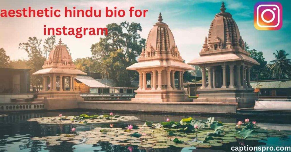aesthetic hindu bio for instagram