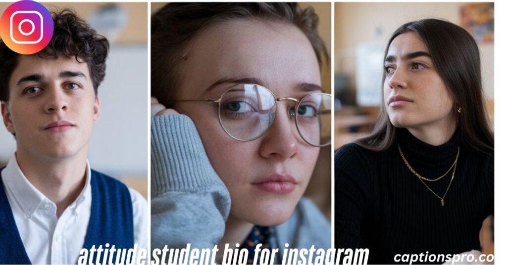attitude student bio for instagram
