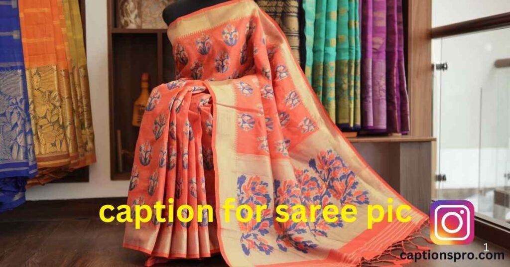 caption for saree pic
