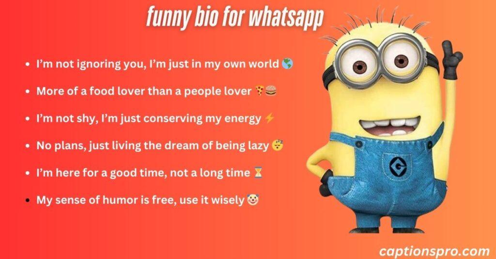 funny bio for whatsapp
