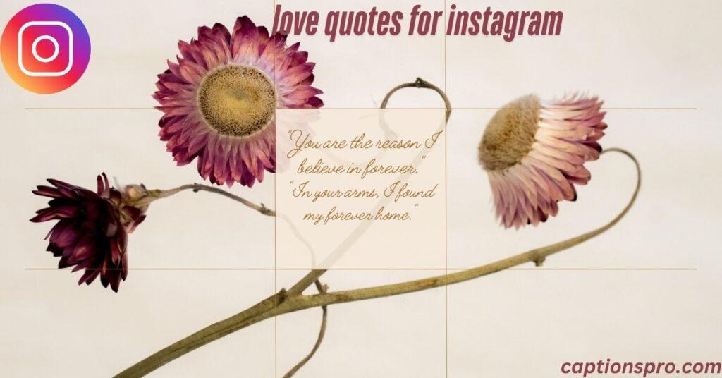love quotes for instagram