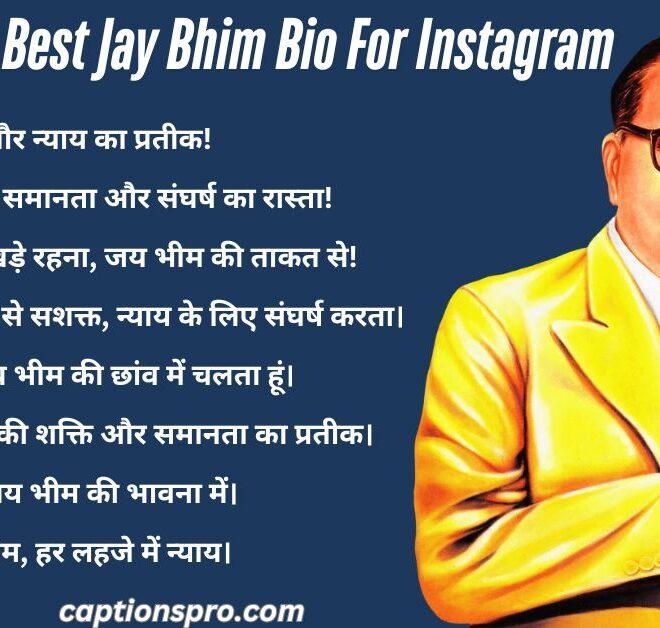 270+ Best Jay Bhim Bio For Instagram 2025 – Captions Pro