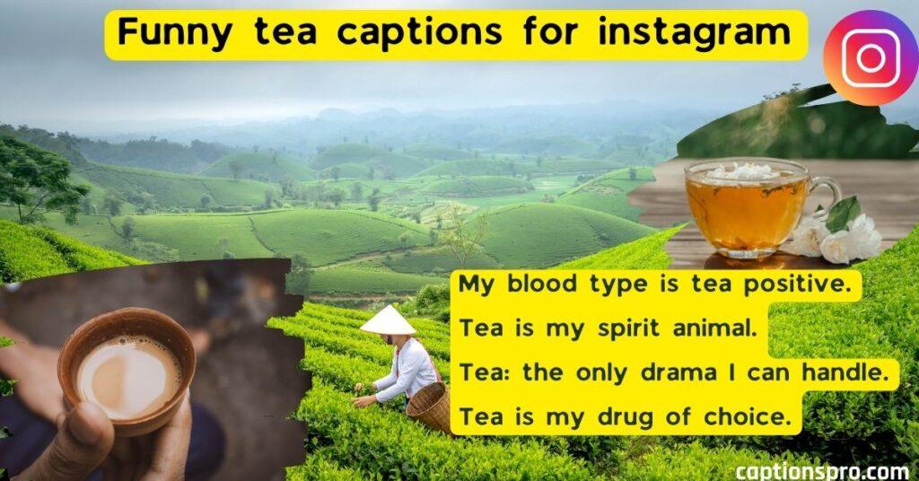 Funny tea captions for instagram