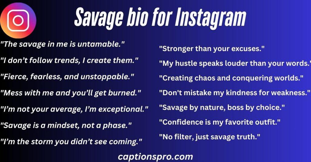 Savage bio for Instagram