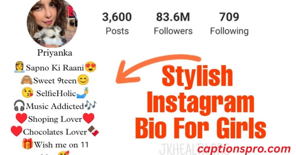 Stylish Bio for Instagram Girl