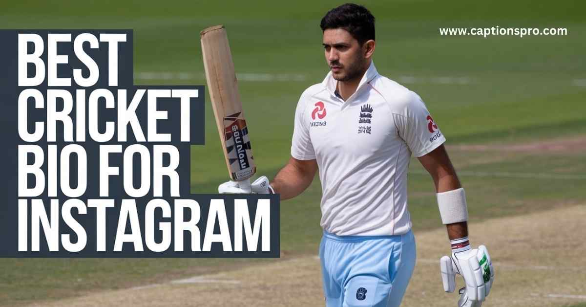 250+ Best Cricket Bio For Instagram - Captions Pro