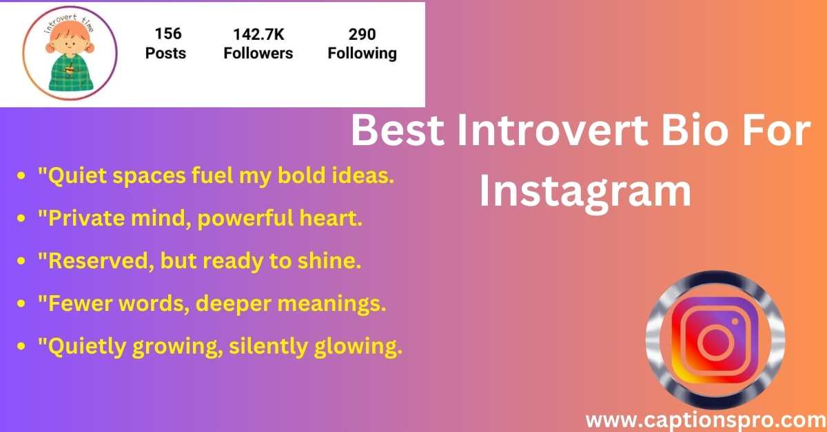 300+ Best Introvert Bio For Instagram In 2025 - Captions Pro
