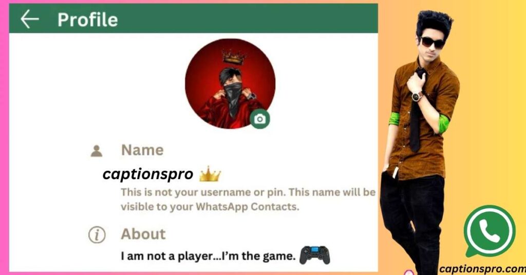 Stylish WhatsApp Bio For Boys