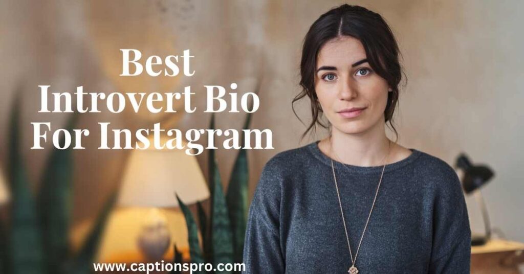 Best introvert bio for instagram