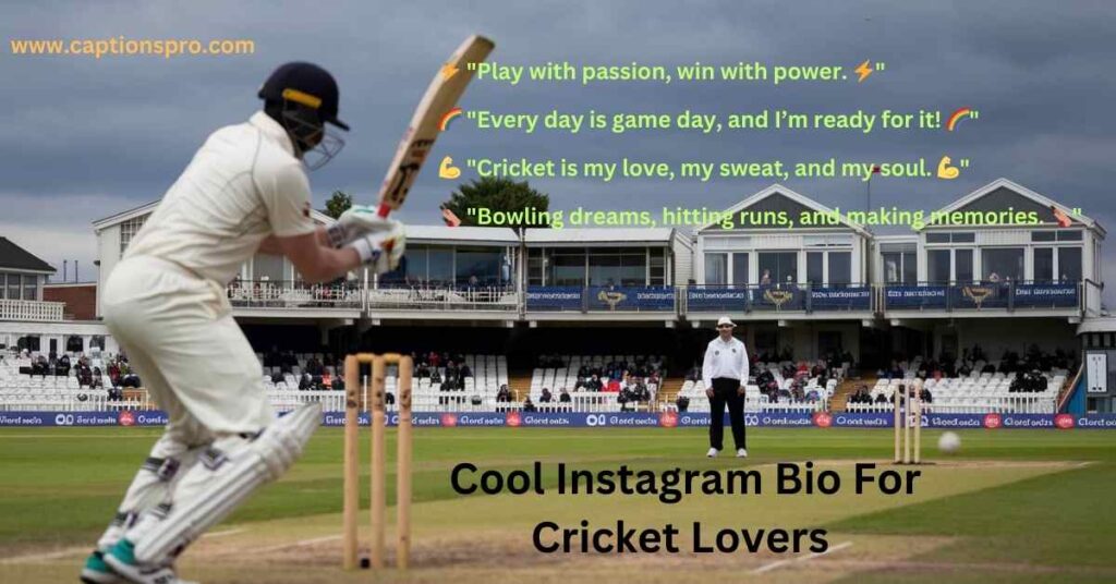 Cool Instagram Bio For Cricket Lovers