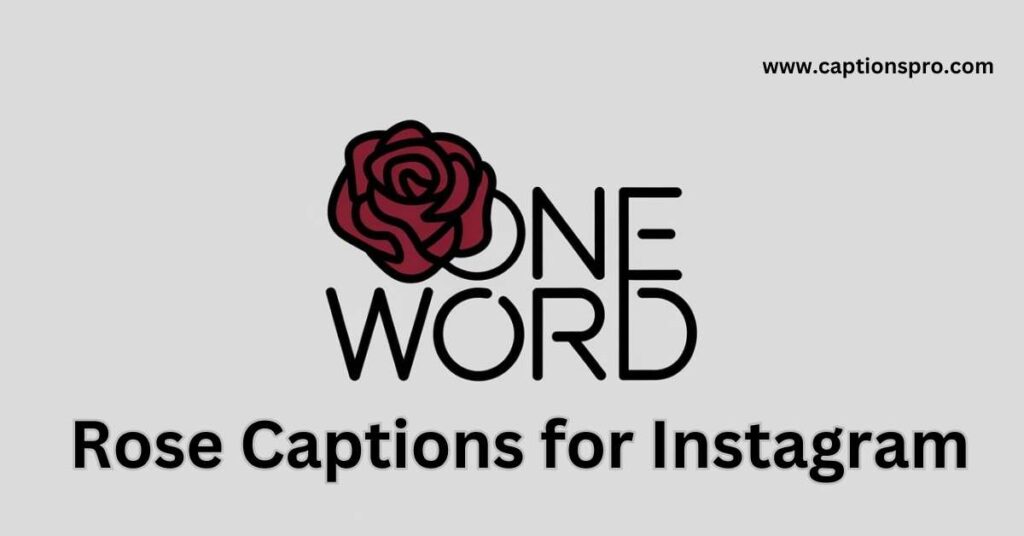 One Word Rose Captions for Instagram
