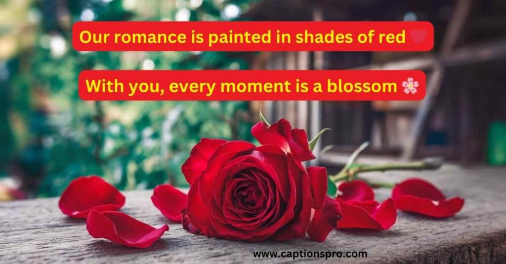 Romantic Rose Captions for Instagram
