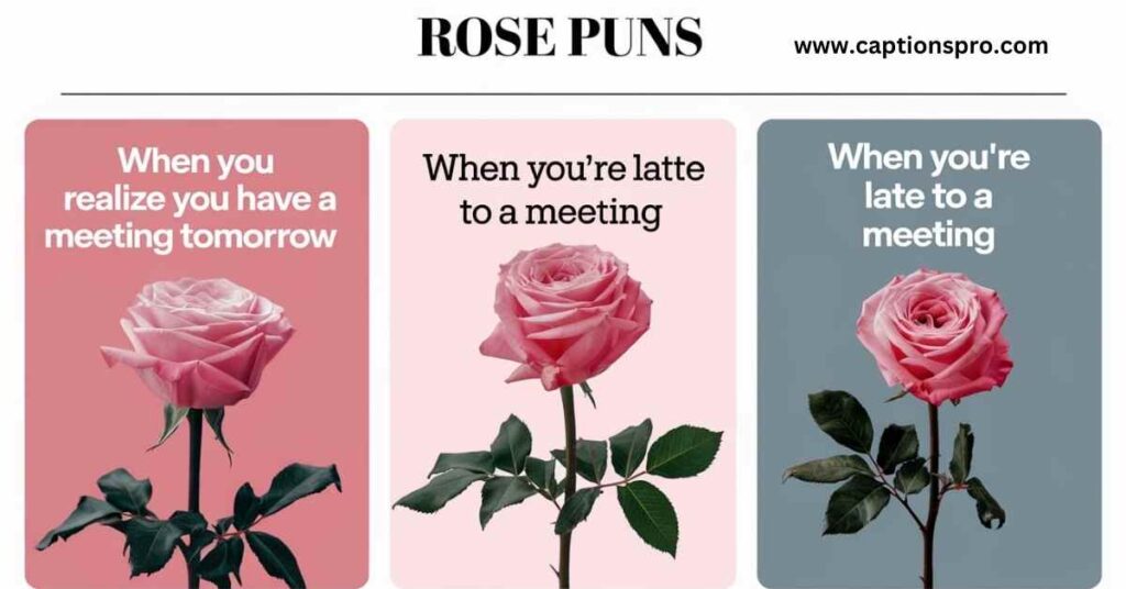 Rose Puns for Playful Instagram Posts