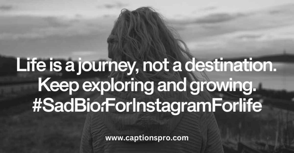 Sad Bio for Instagram for Life