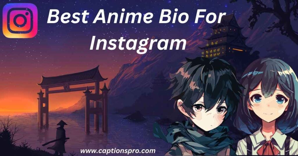 best anime bio for instagram  