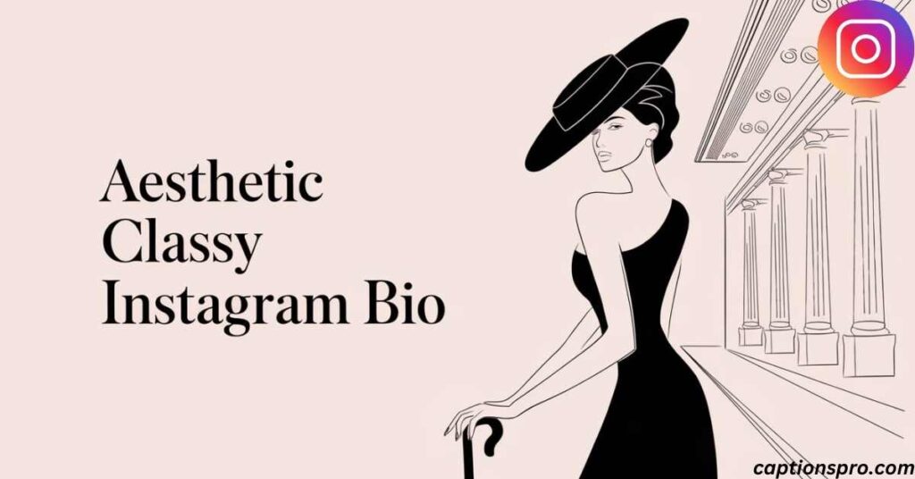 Aesthetic Classy Instagram Bio