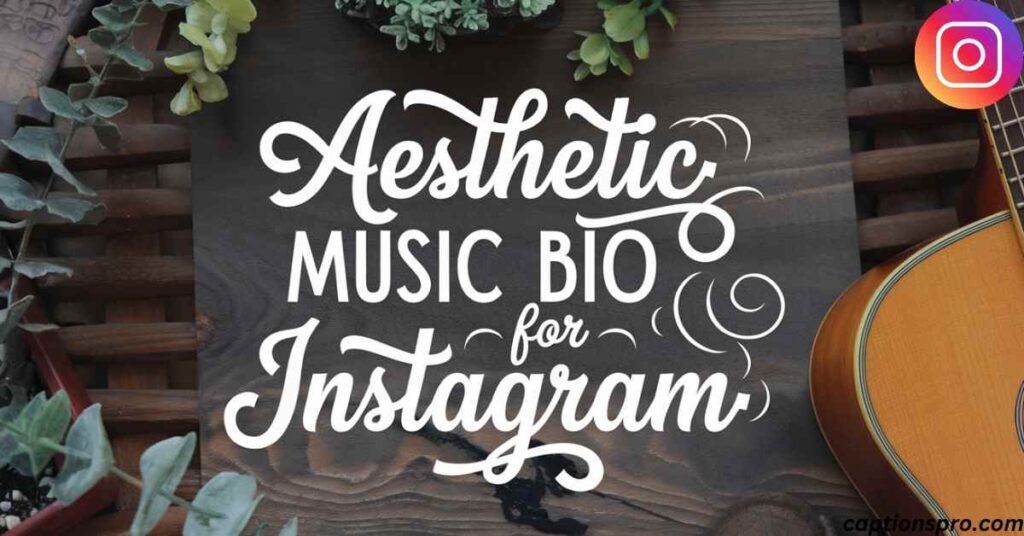 Aesthetic music bio for Instagram