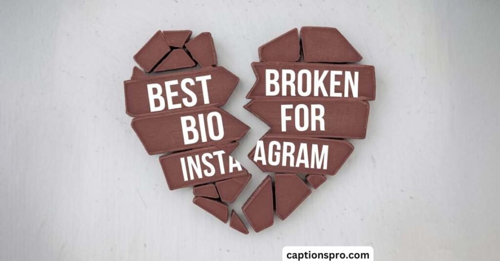 Best broken bio for instagram