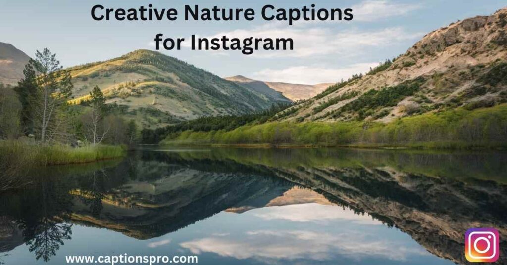 Creative Nature Captions for Instagram