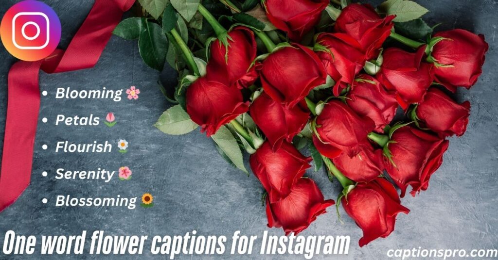 One word flower captions for Instagram