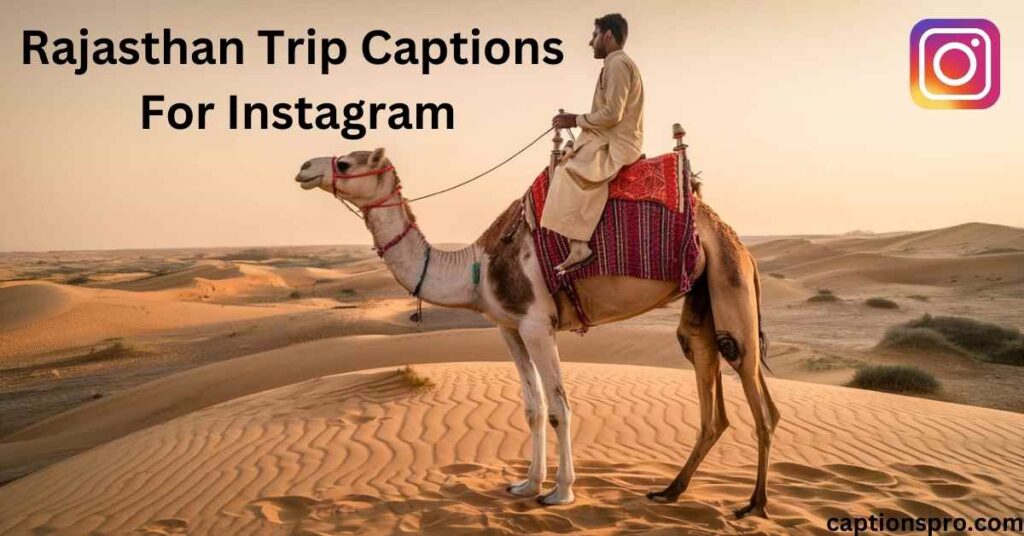 Rajasthan Trip Captions For Instagram