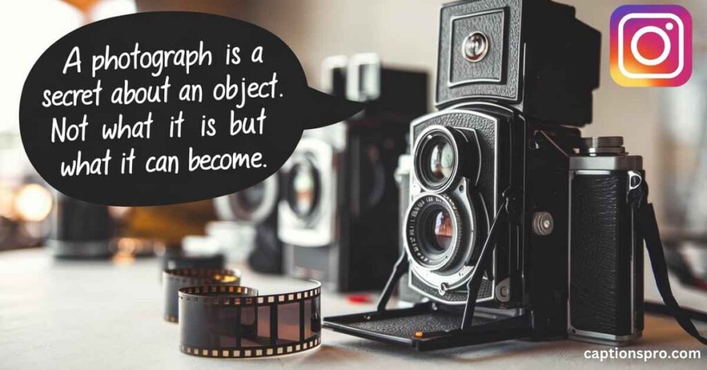 photography quotes for instagram