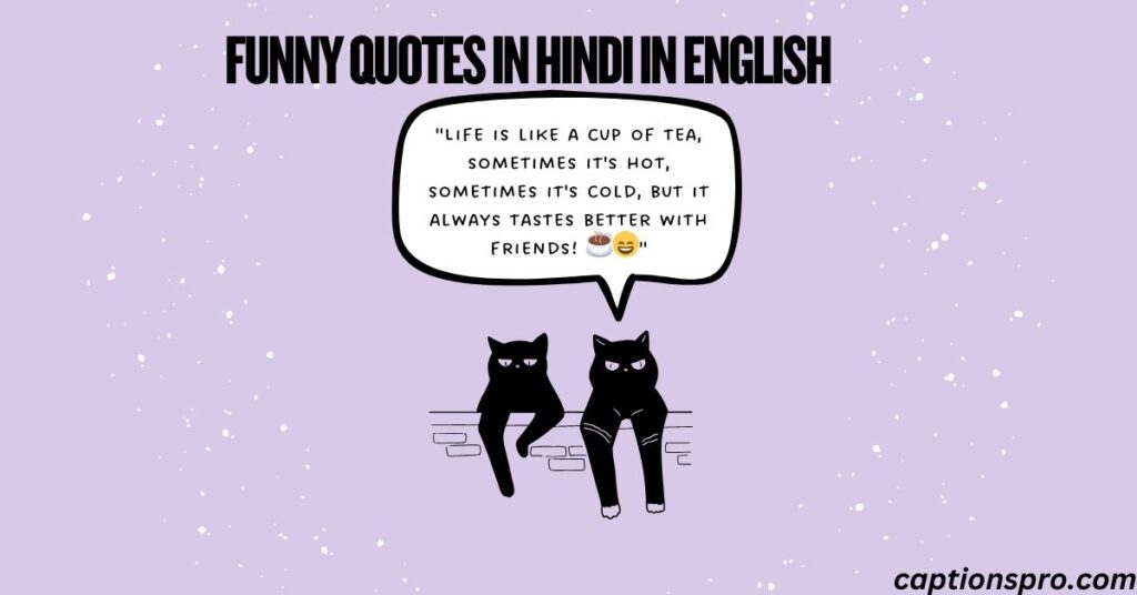 Funny quotes in hindi in english