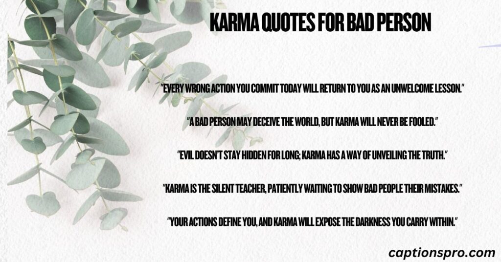Karma Quotes for bad person