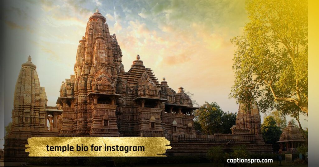 temple bio for instagram